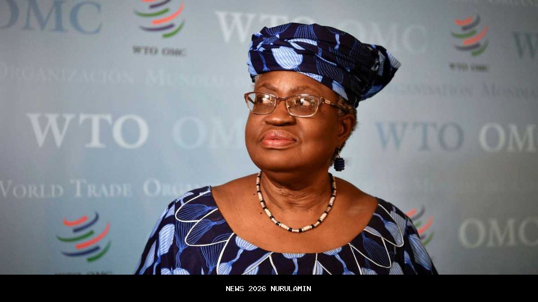 ADC ke FG: Anda memutarbalikkan pesan Okonjo-Iweala