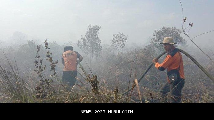 Api Karhutla di TNTN Pelalawan Mulai Terkendali Meski Hujan Turun