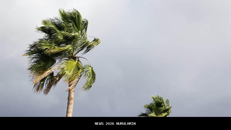 Angin: Energi Bersih Masa Depan, Potensi dan Tantangan PLTB