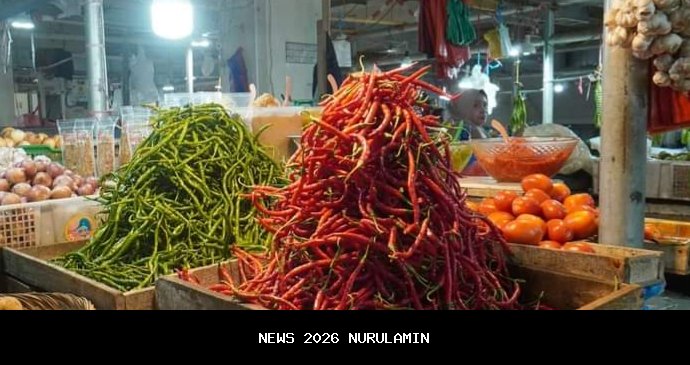Pasokan Melimpah, Harga Cabai Merah Turun di Padang Panjang
