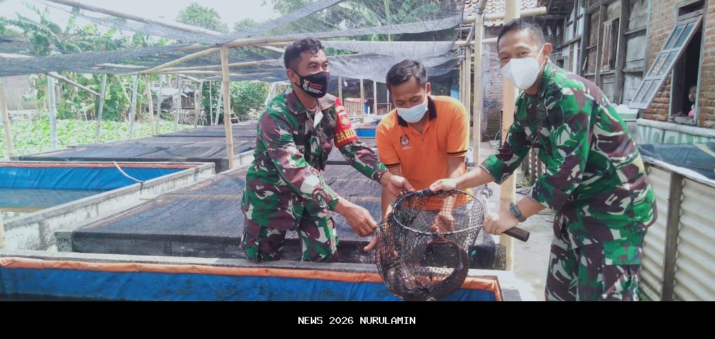 Sinergi Sidrap dan Demak Tingkatkan Transmigrasi dan Ketahanan Pangan Nasional