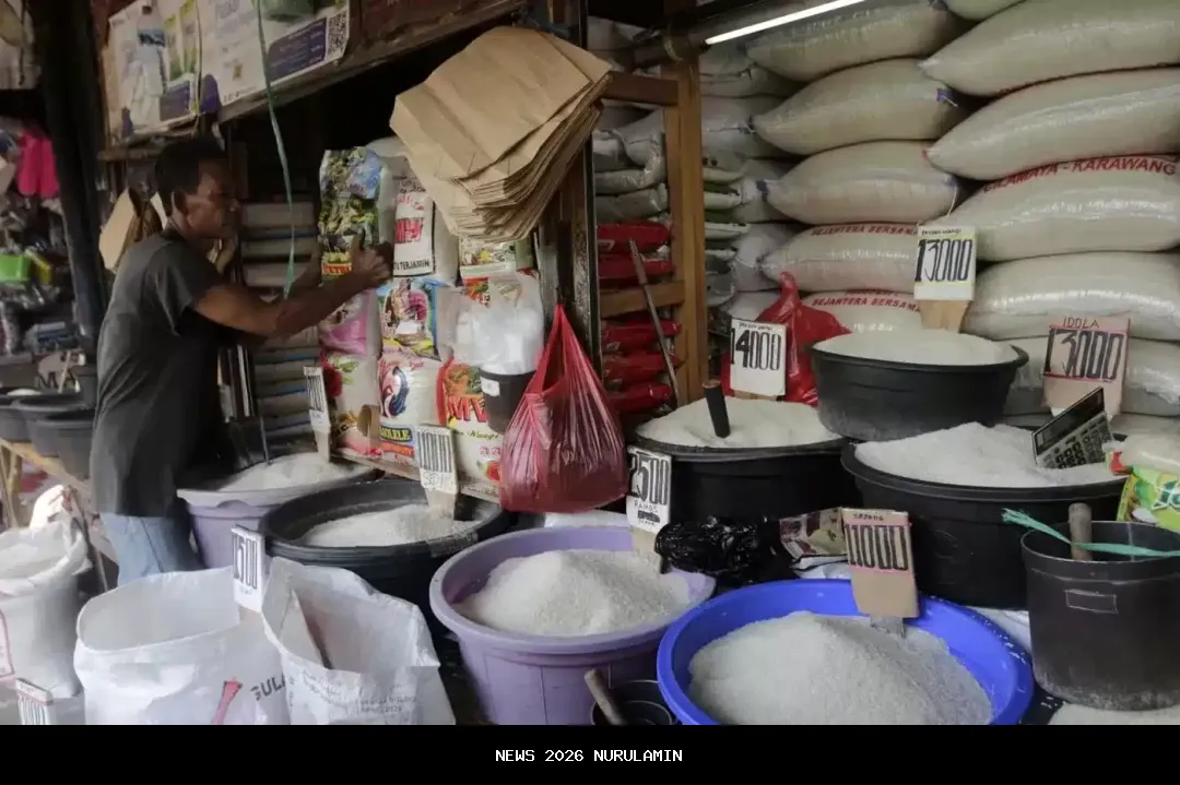 Kebijakan Nasional Tak Menjangkau Papua, Harga Beras Melebihi HET