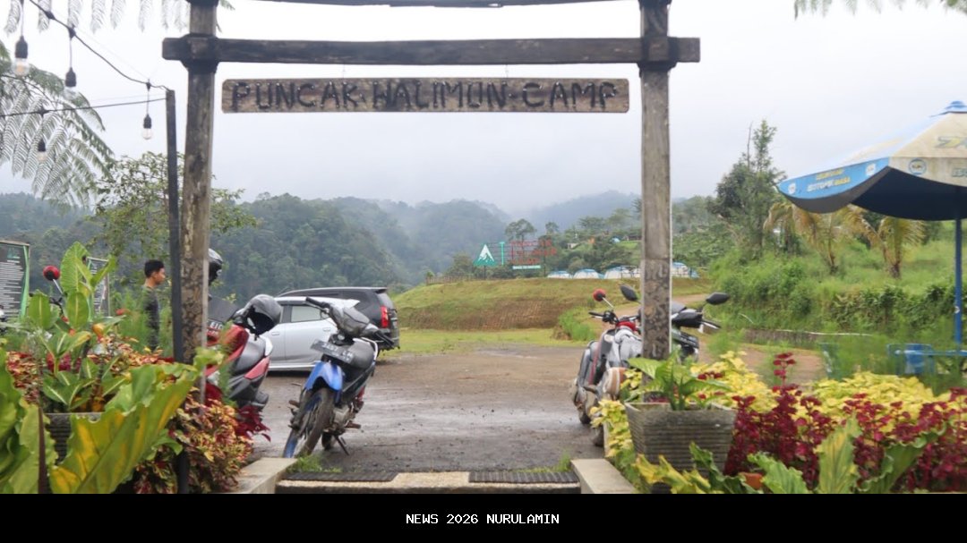 Kampung Ekonomi: Tempat Kembali bagi Mereka yang Lelah