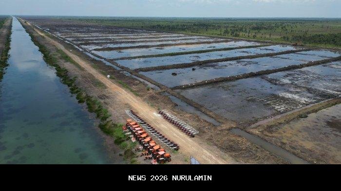 Program Cetak Sawah Kementan Dorong Peningkatan Ekonomi Petani Kalimantan Tengah