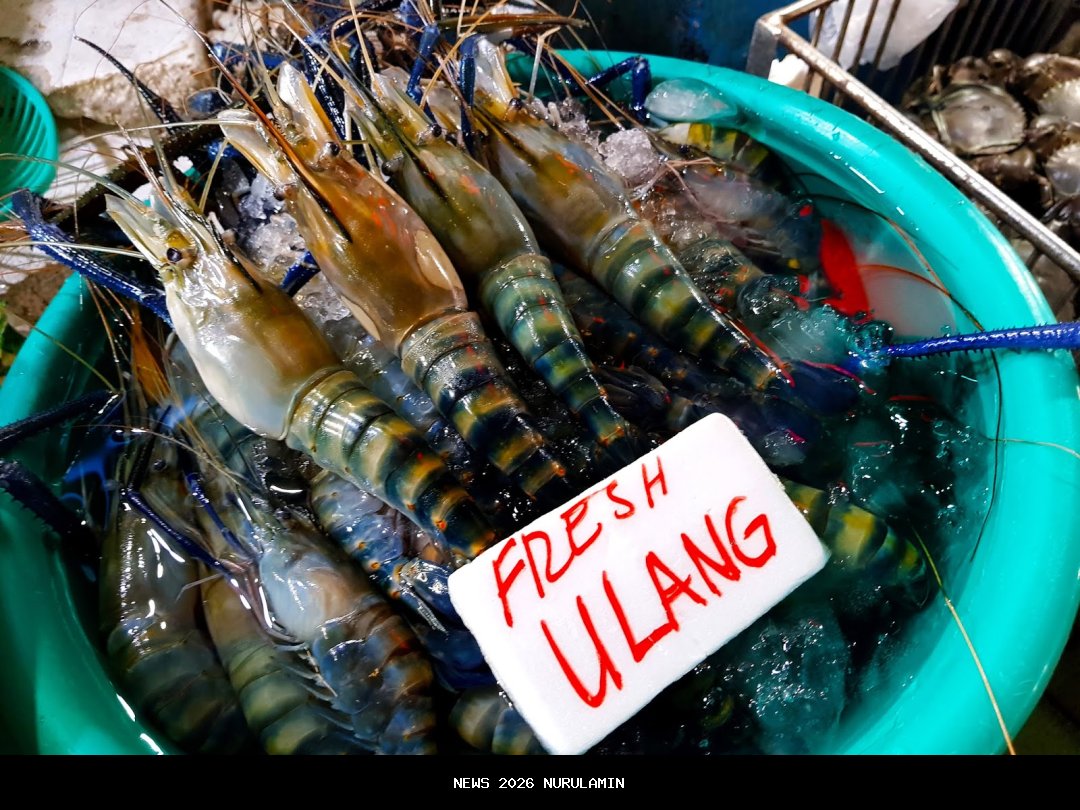 Ulang Tahun ke-49, BTN Beri Suku Bunga KPR 2,65% di 6 Kota Besar