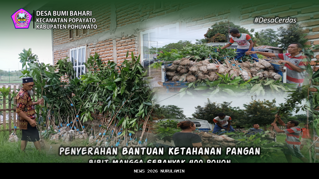 Bupati Donggala Perkenalkan Mangga Unggulan untuk Dukung Ketahanan Pangan Nasional