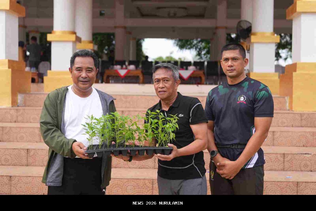 Gubernur Anwar Hafid Bagikan 1.000 Bibit Cabai Peringati Hari Pahlawan ke-80