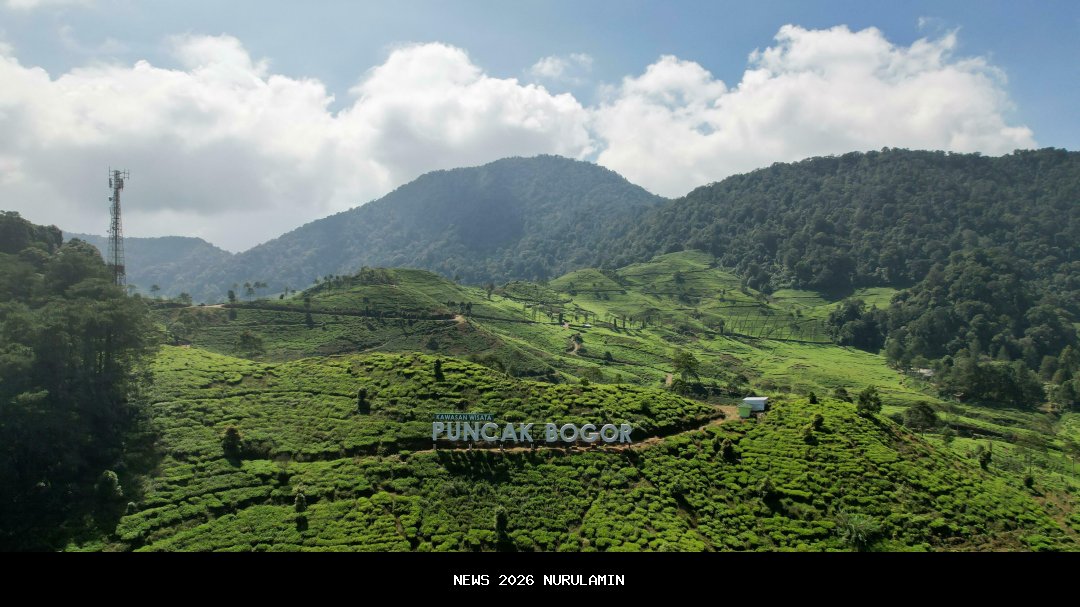 Puncak HKN ke-61 Aceh Tengah Dimeriahkan Jalan Santai dan Kesehatan Gratis