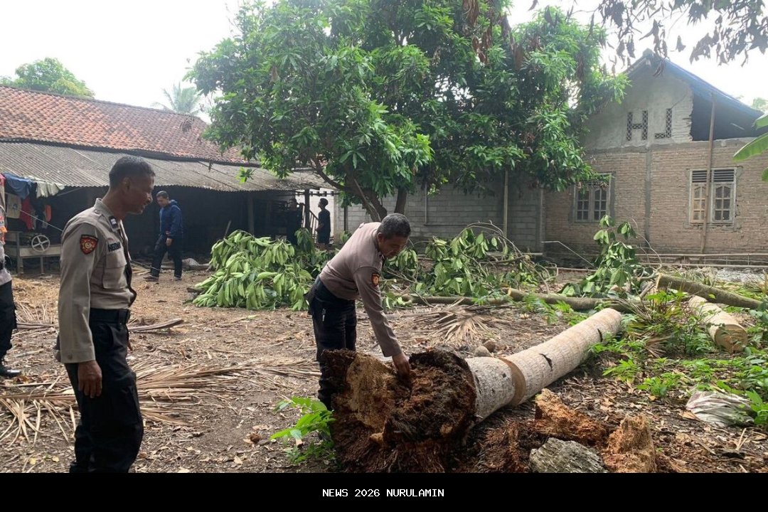 Kronologi Lengkap Anak Tewas Tertimpa Kentongan di Kulon Progo