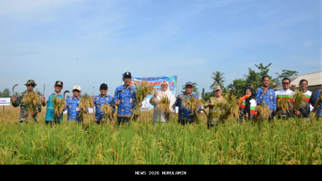 Uji Coba Padi Unggul Biosalin 2 di Lahan Marginal Cilacap