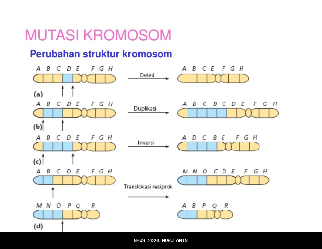 Mutasi Pejabat Tingkat II Lombok Timur