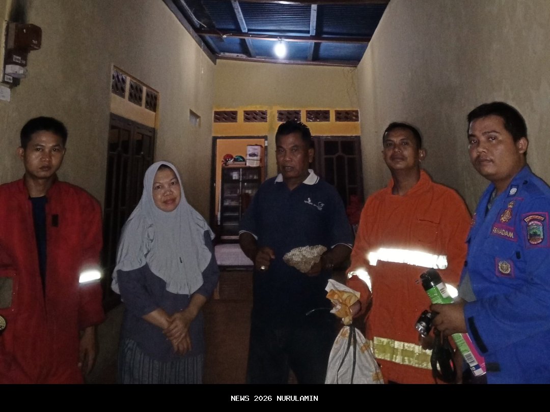 Sarang Tawon di Tower Desa Pengadah Dievakuasi Damkar Natuna