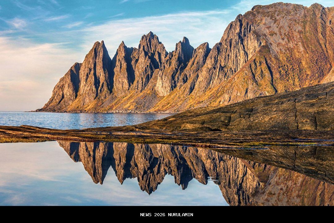 Senja di Tahta Gading: Rektor Angkuh di Ujung Tanduk, Jembatan Politik Terputus