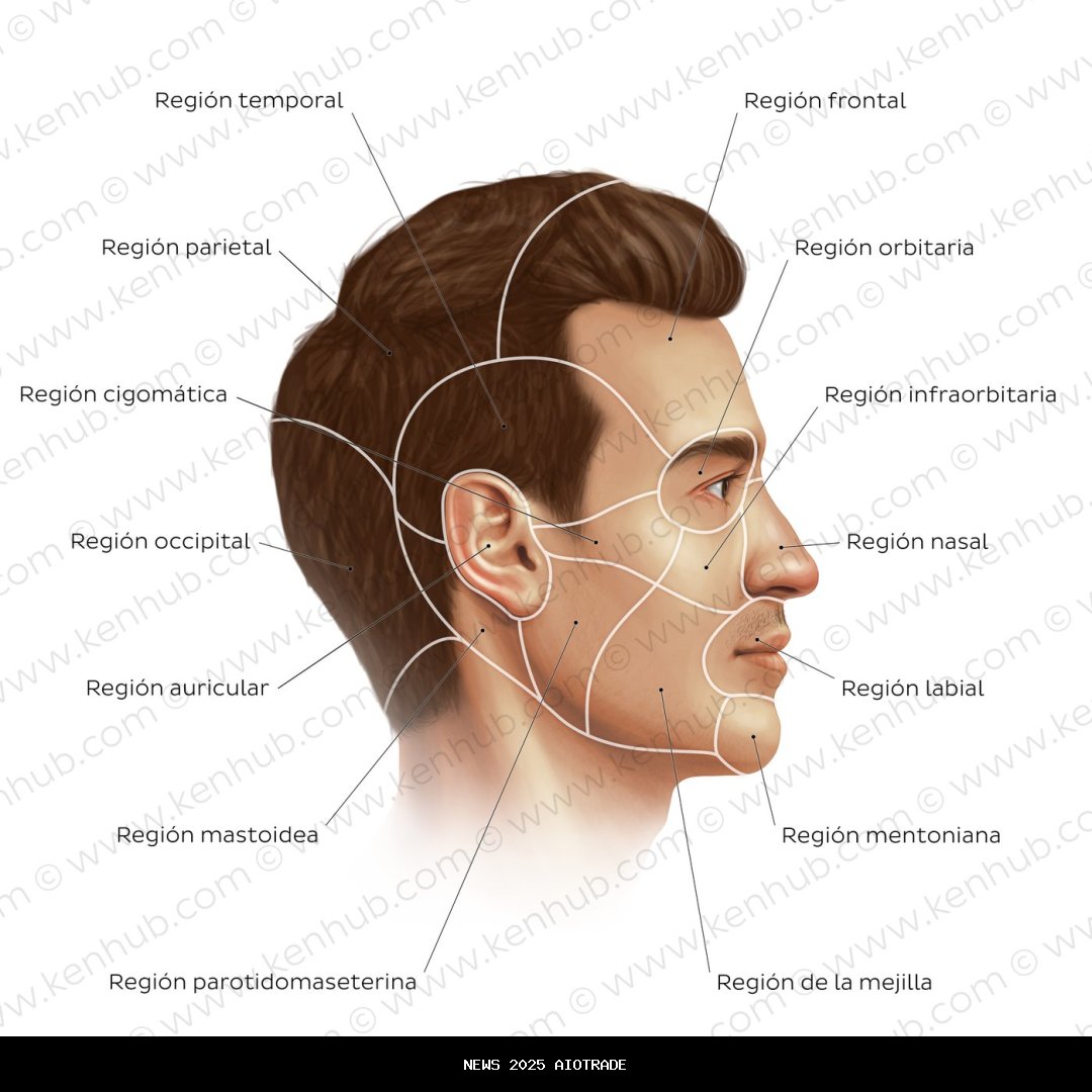 Cara Unduh dan Pasang Nada Dering WhatsApp Sendiri, Lagu Favorit atau Suara Pribadi