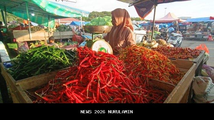 Penyebab kenaikan harga bahan pokok di Maros, cabai rawit Rp60 ribu per kilogram