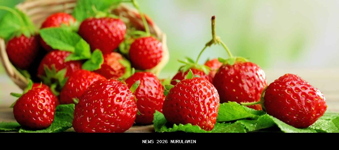 Apa Itu GAT 2025 dan TAP PLN? Contoh Soal Rekrutmen 2025