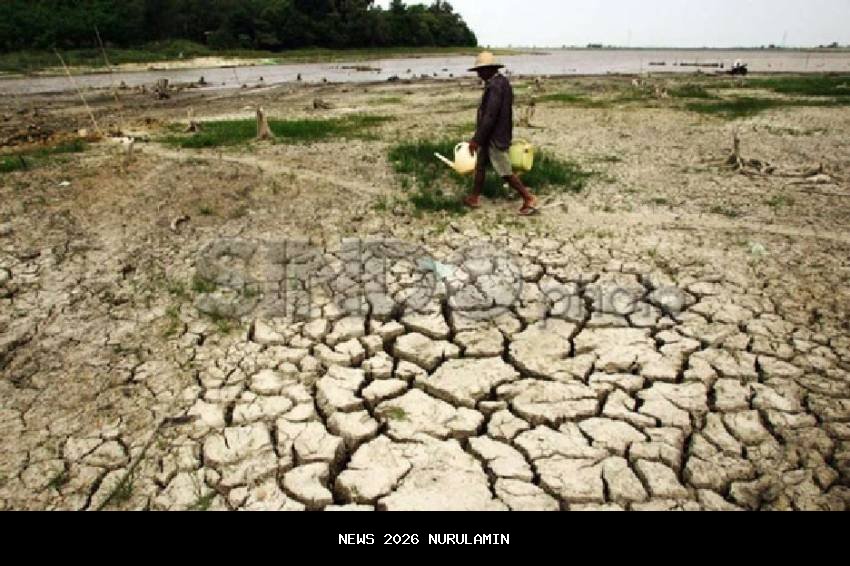 Indonesia Butuh 10 Ribu Peneliti Tanaman, Hanya Seribu: Ancaman Kekurangan Pangan 2050