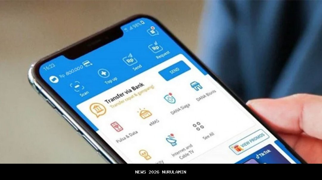 Pilih Game, Survei, atau Novel? Dapatkan DANA Gratis!