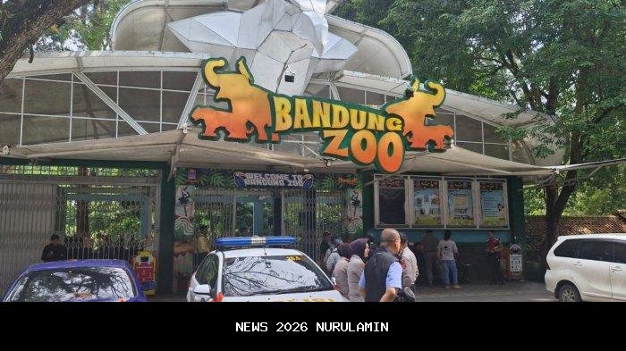 Drama Bandung Zoo Belum Berakhir! Korupsi YMT, Police Line, dan Kegagalan Apecsi Ungkap Fakta Baru