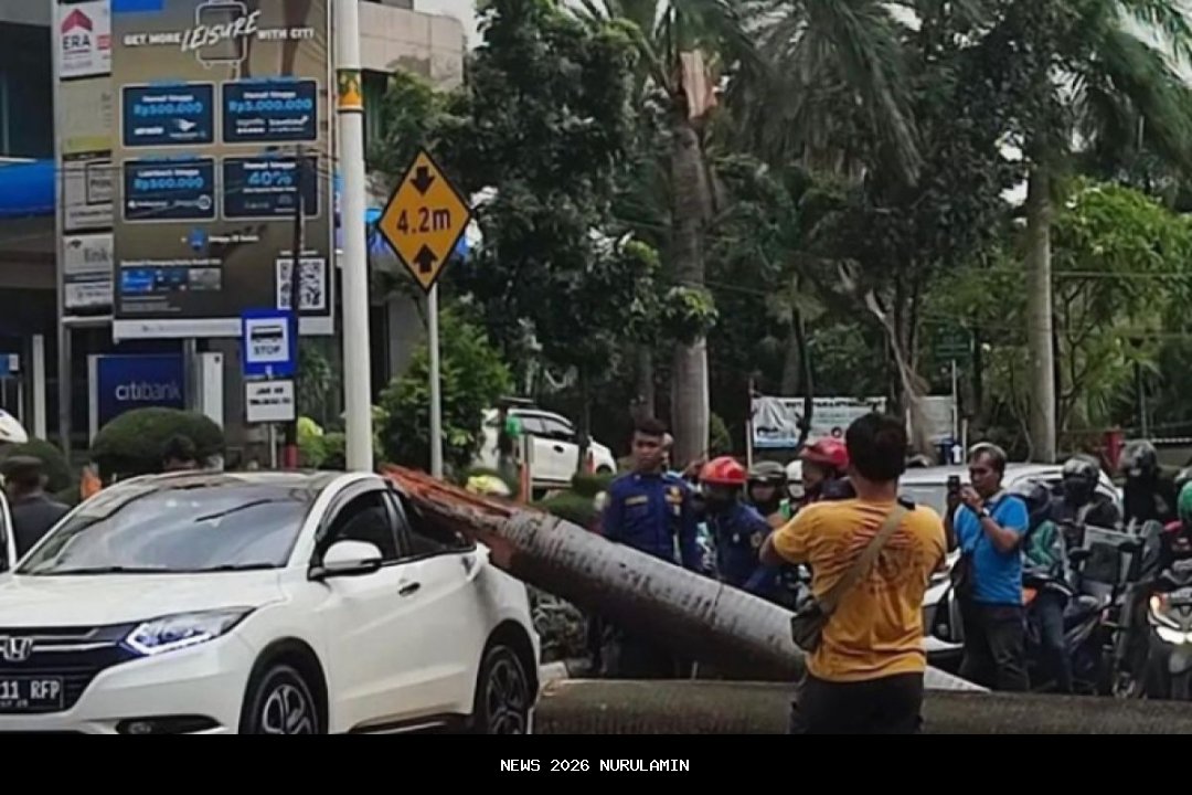 Kecelakaan Mobil Lexus Tertimpa Pohon di Pondok Indah, Tempat Berdarah 2021