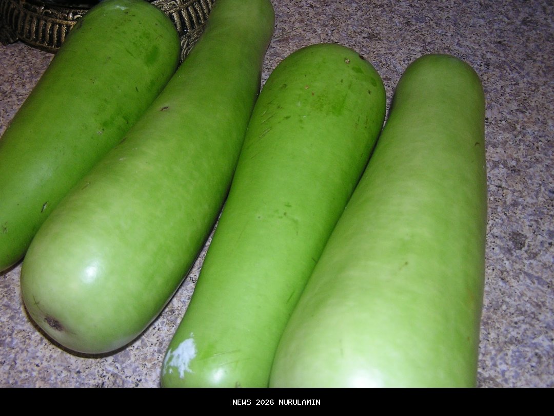 Bocor Promo! Kredit BAIC X55 II Cukup DP 59 Juta + Cicilan 8,15 Juta, Serius?