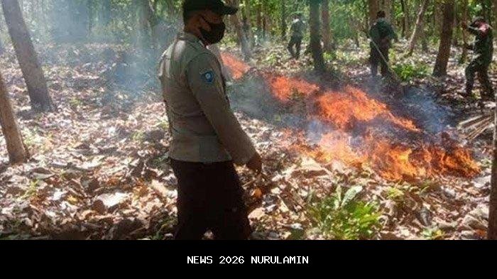 Mitigasi Bencana, BPBD Nganjuk Petakan Wilayah Rawan Longsor dan Banjir