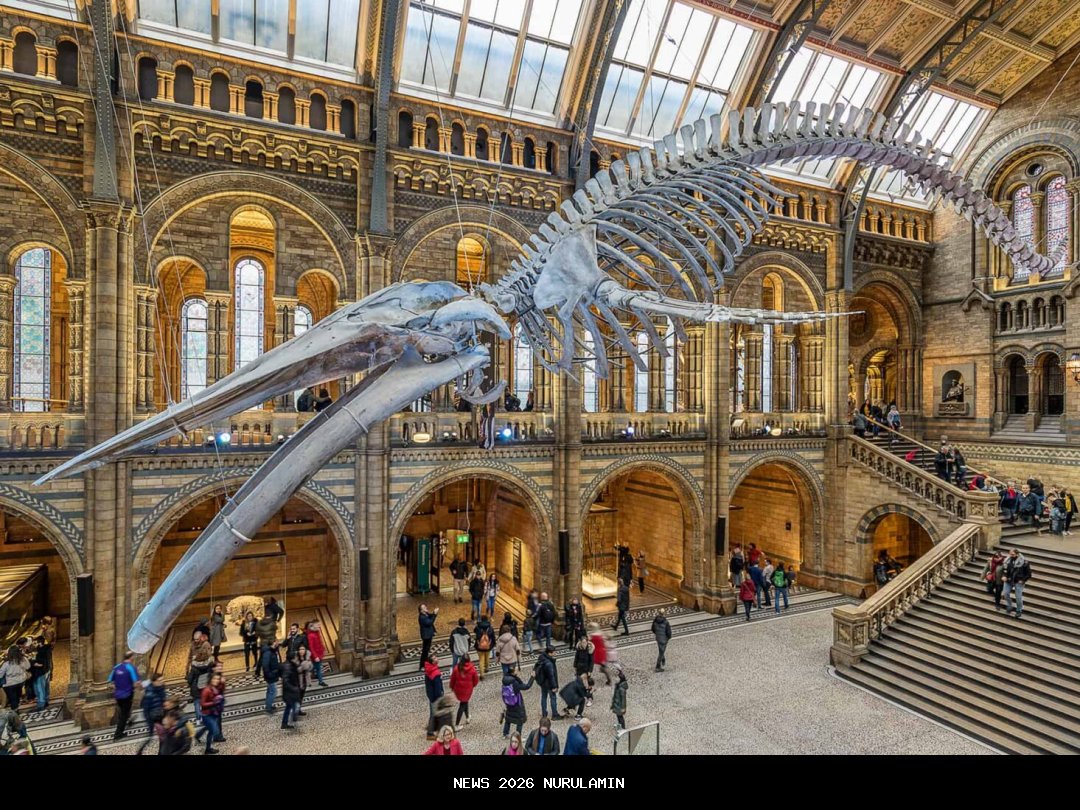 Museum Rajekwesi Bojonegoro Dibuka, Warisan Sejarah dari Masa Kuno hingga Kolonial