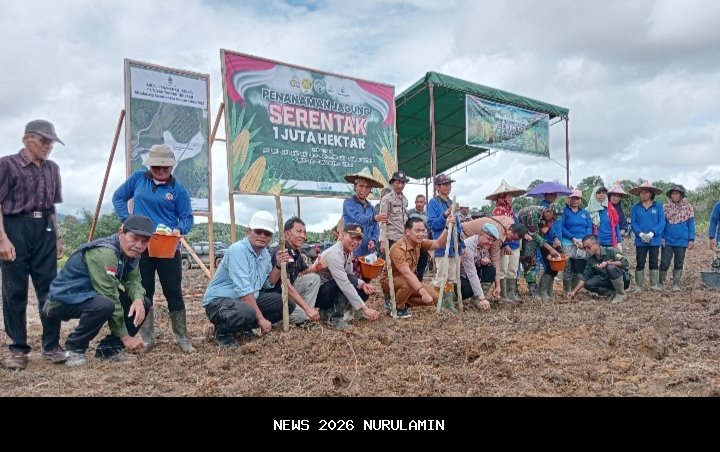 Bintara Penggerak Ketahanan Pangan Polsek Menyuke Pantau Progres Tanaman Jagung