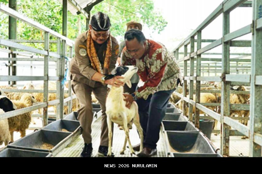 Mentan Dorong BUMN Kembangkan Industri Pembibitan dan Pakan Unggas untuk Bantu Peternak Kecil