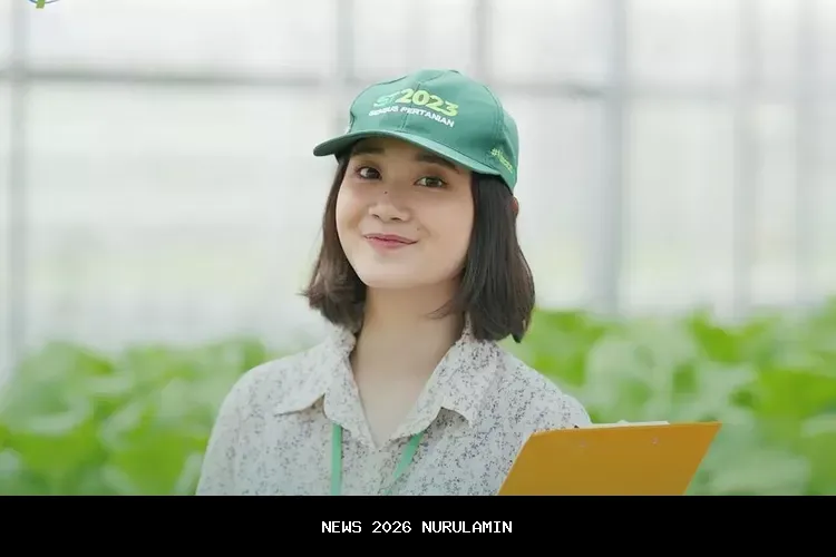 Pendaftaran Mitra Statistik BPS Kota Jambi 2026 Dibuka Besok, Cek Informasinya