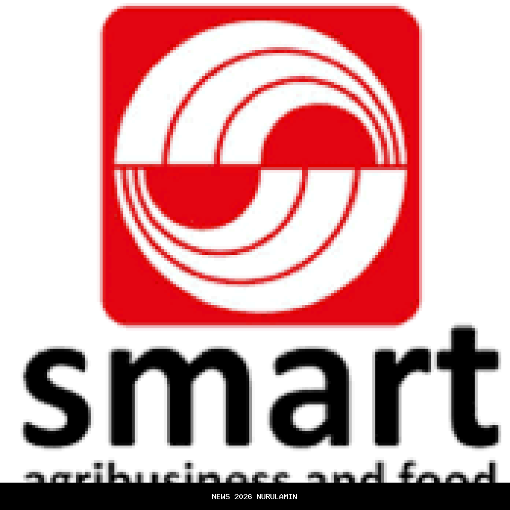 Lowongan Kerja BUMN 2025 - PT Micro Madani Cari Lulusan SMA