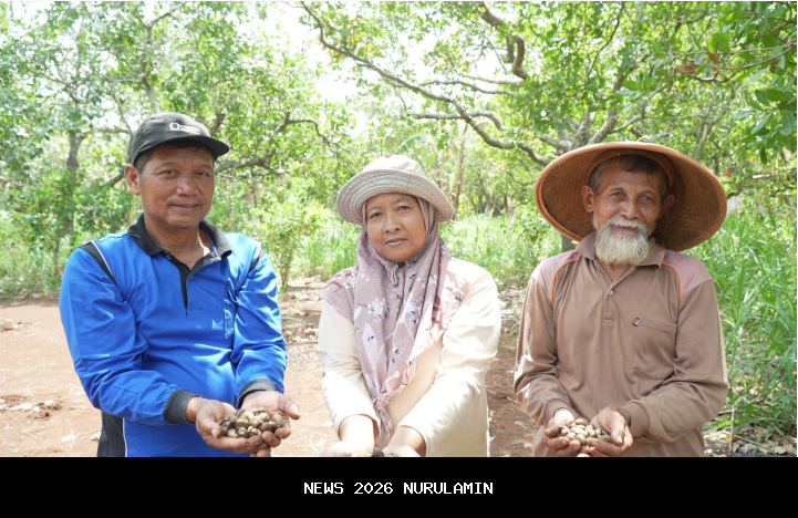 Hilirisasi: Kunci Penguatan Ekonomi Nasional