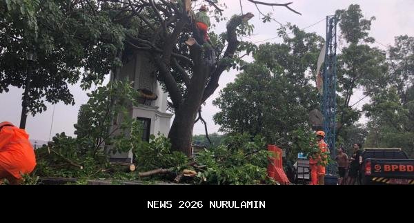 Purbalingga Waspadai Cuaca Ekstrem, Warga Diimbau Hindari Berteduh di Bawah Pohon