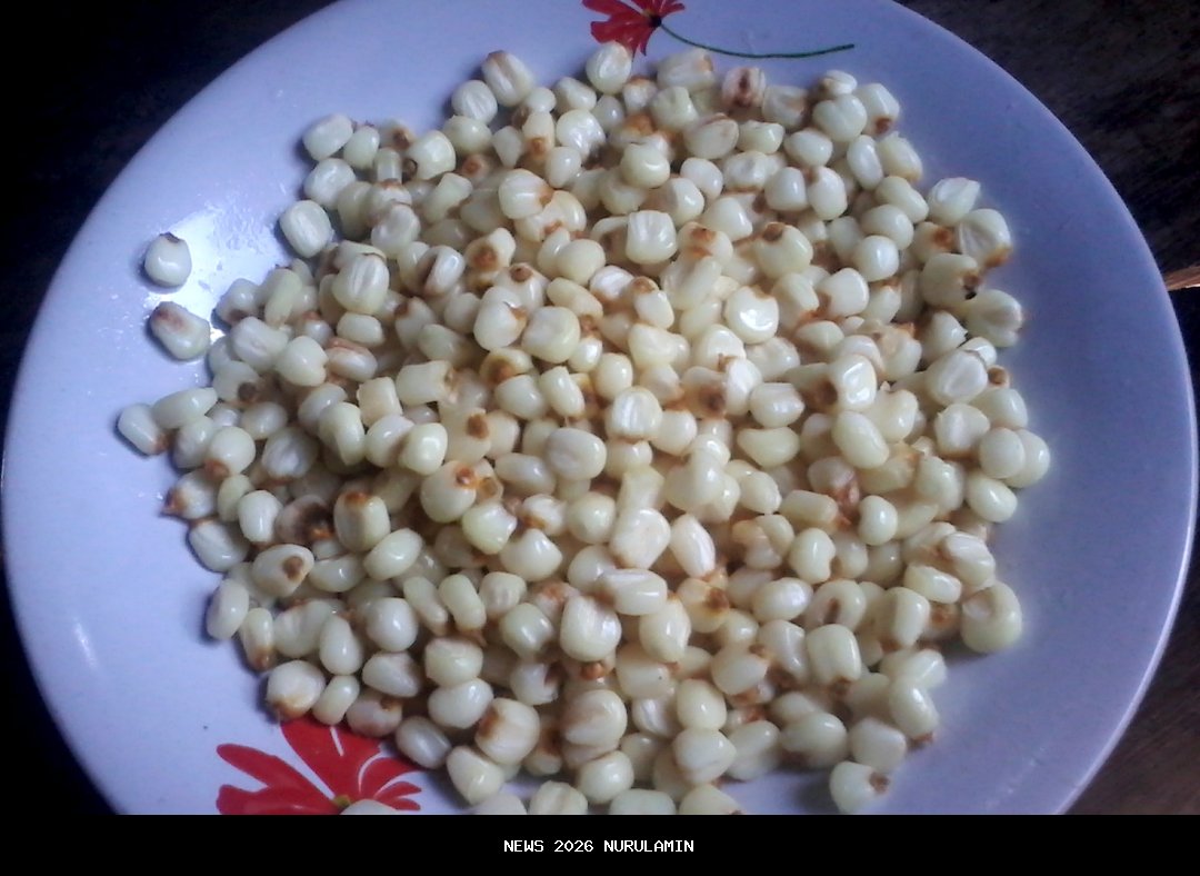 Kambuse, Kuliner Khas Muna yang Menggantikan Nasi dari Jagung Tua Kering