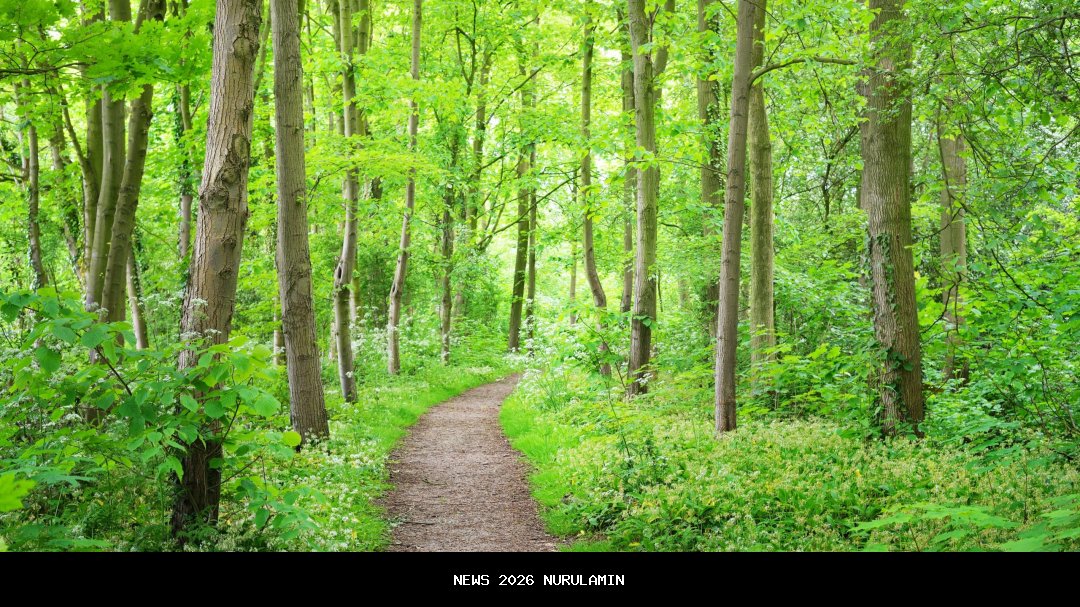 Bos PT ABB Terbukti Tipu Proyek Revitalisasi Pasar Kranji Rp 2,5 M, Masuk Penjara