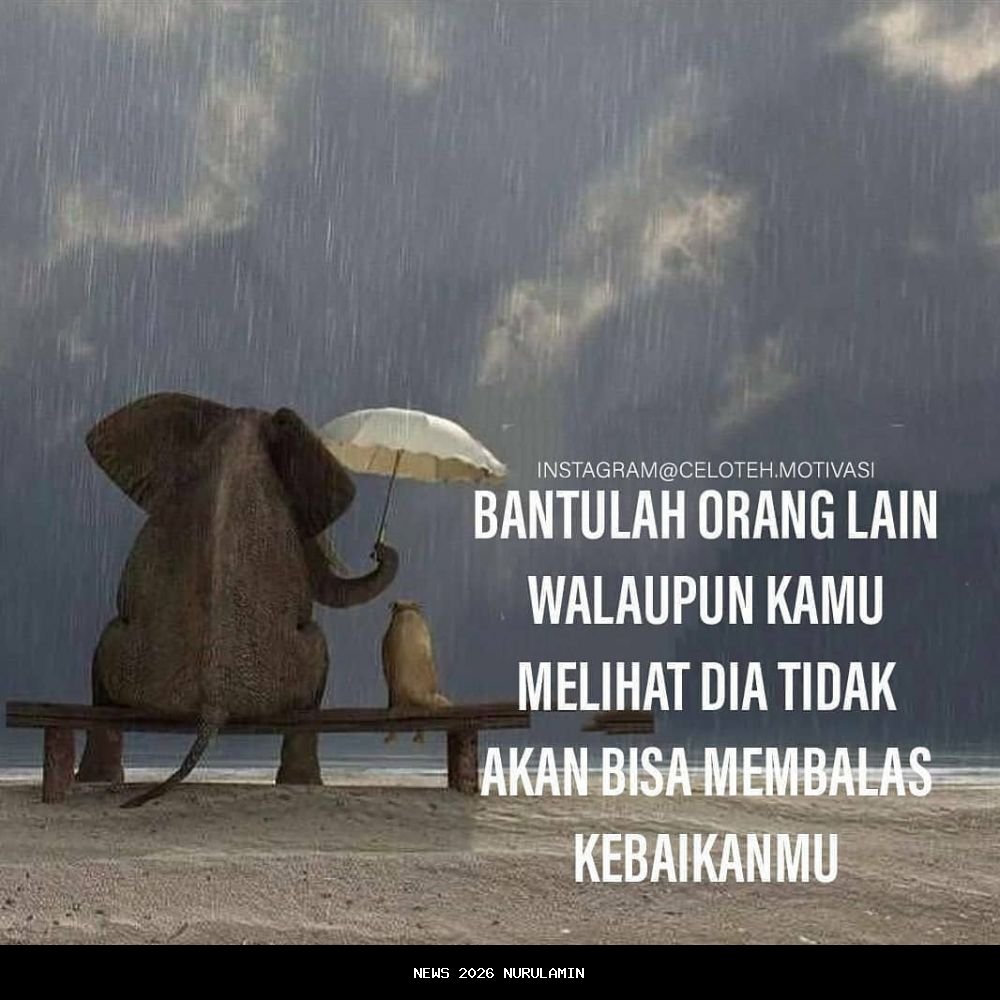 Inspirasi Baru dari Tindak Lanjut yang Dilakukan