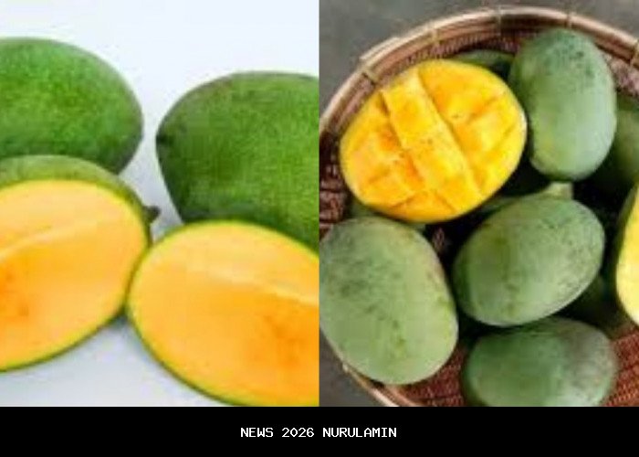 Menteri ATR/BPN Nusron Wahid: Layanan Pertanahan Sesuai Kebutuhan Generasi Muda