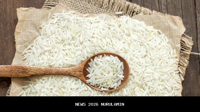 Pengumuman Terbaru: 4 Bansos Diperpanjang Sampai November 2025, Termasuk BLT Rp900 Ribu dan Bantuan Beras 10 Kg