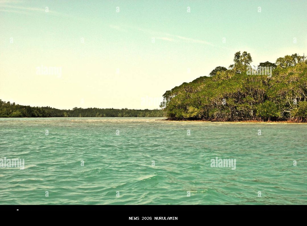 Lindungi Pantai dengan Menanam Mangrove di Ujung Kulon Banten