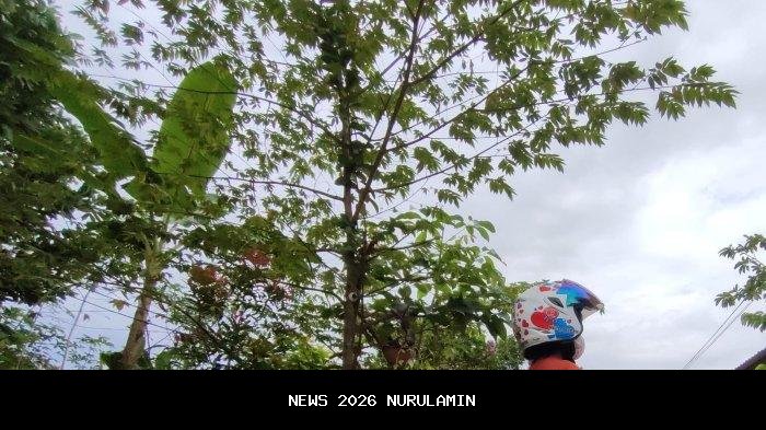 Cuaca Balikpapan Hari Ini 24 September 2025: Diprediksi Mendung