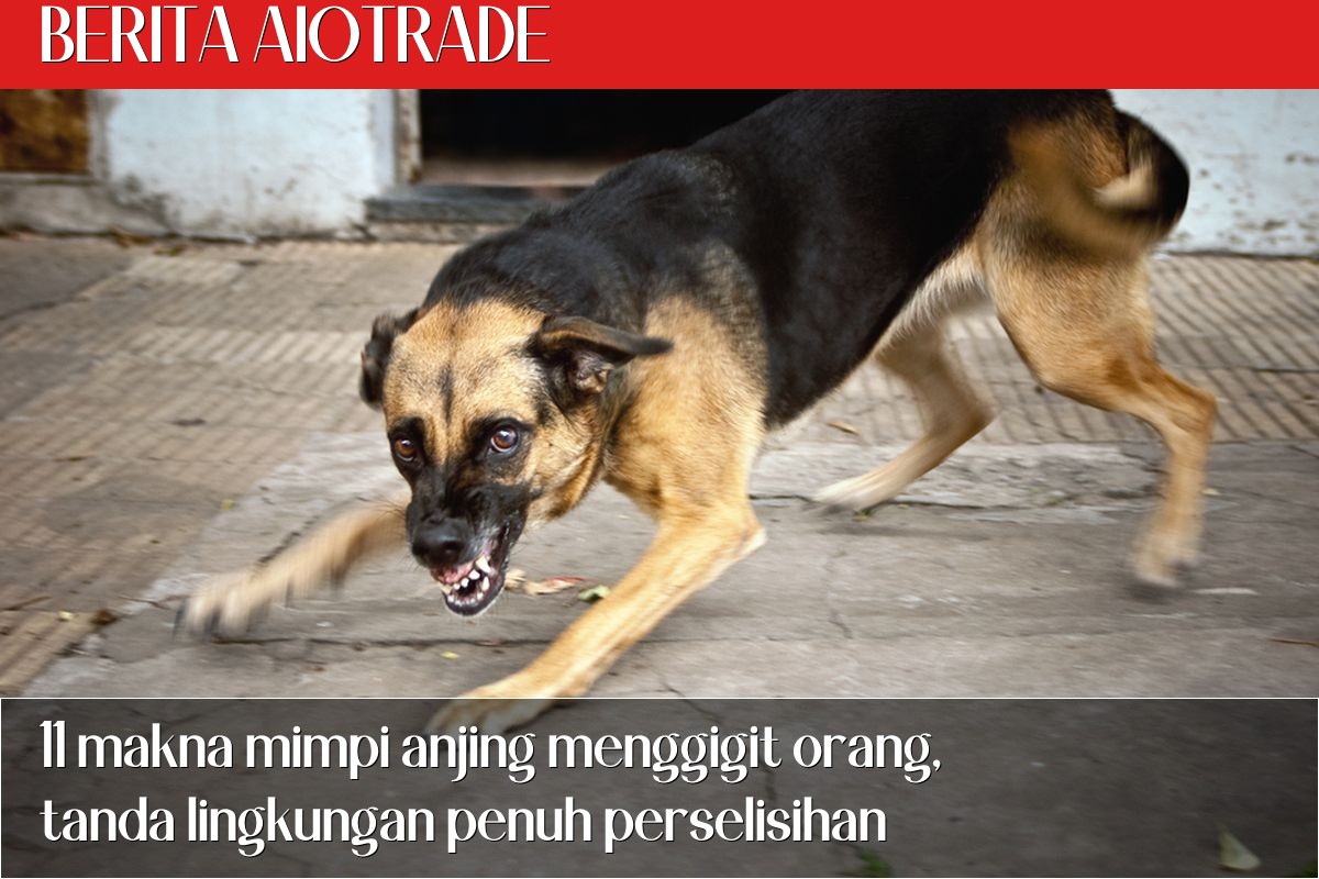 11 makna mimpi anjing menggigit orang, tanda lingkungan penuh perselisihan