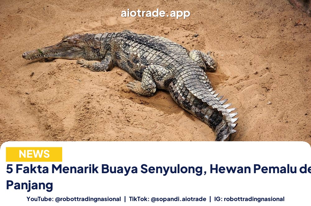 5 Fakta Menarik Buaya - 5 Fakta Menarik Buaya Senyulong, Hewan Pemalu deng pt 1
