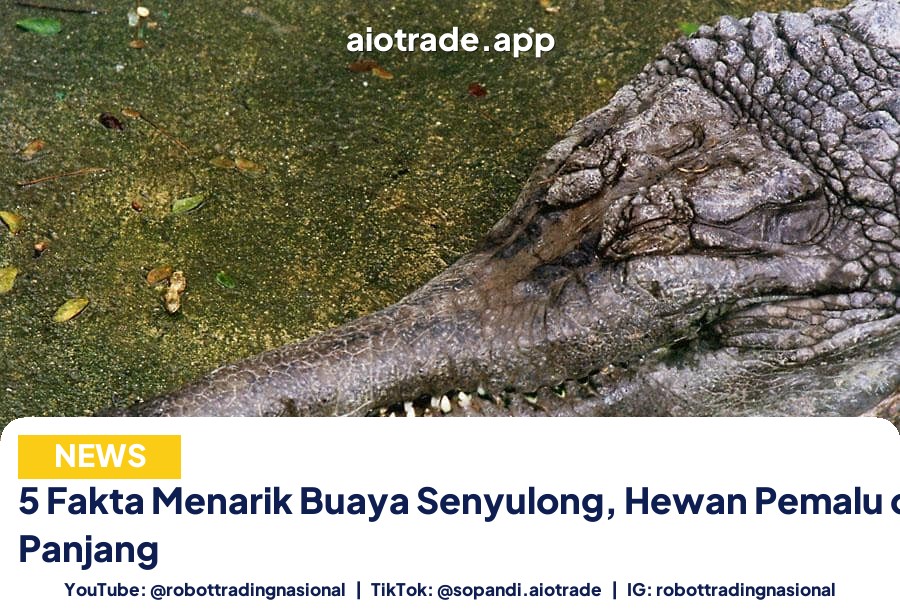 5 Fakta Menarik Buaya - 5 Fakta Menarik Buaya Senyulong, Hewan Pemalu deng pt 2