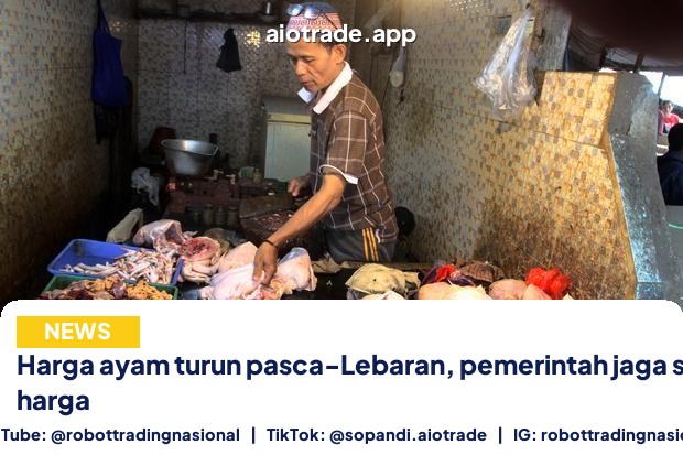 Harga ayam turun pasca-Lebaran, - Harga ayam turun pasca-Lebaran, pemerintah jaga st pt 1