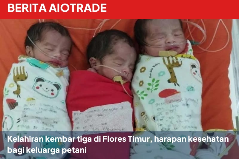 Kelahiran kembar tiga di Flores Timur, harapan kesehatan bagi keluarga petani