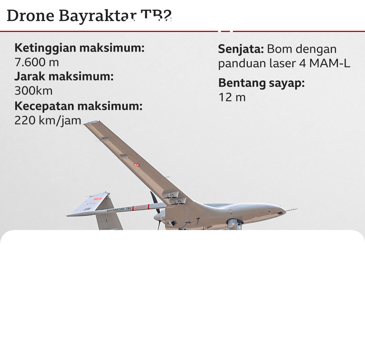 Negara-negara Teluk Beralih ke Ukraina dan Korsel untuk Drone Pencegat