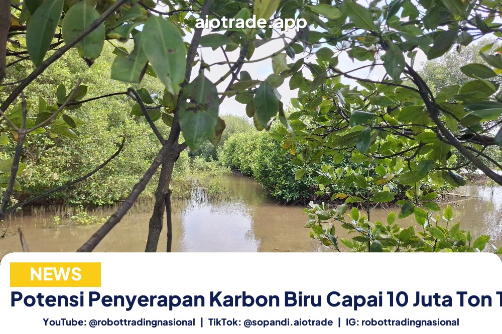 Potensi Penyerapan Karbon Biru - Potensi Penyerapan Karbon Biru Capai 10 Juta Ton T pt 1