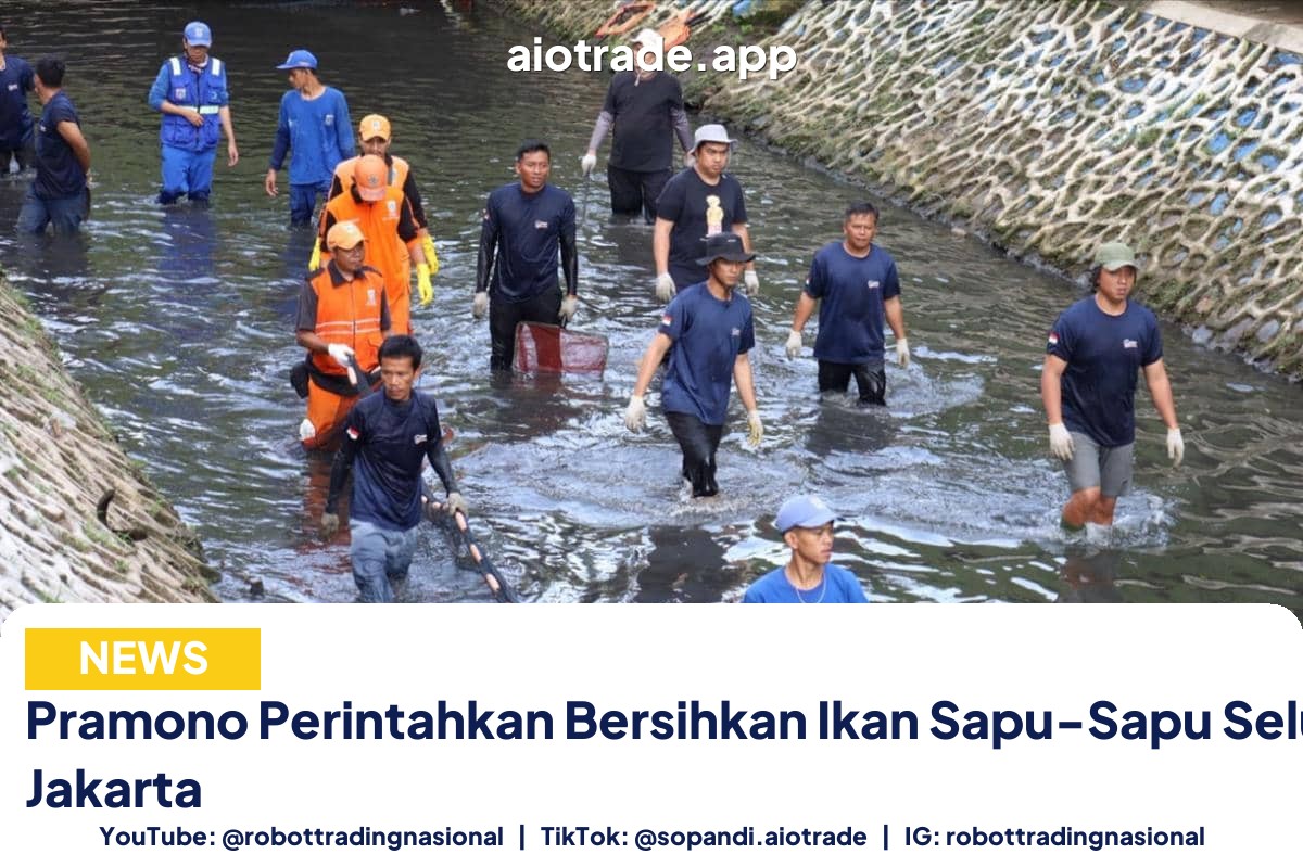 Pramono Perintahkan Bersihkan Ikan - Pramono Perintahkan Bersihkan Ikan Sapu-Sapu Selur pt 2