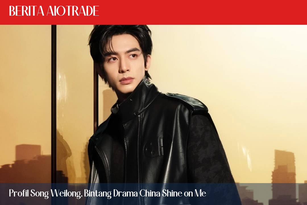 Profil Song Weilong, Bintang Drama China Shine on Me
