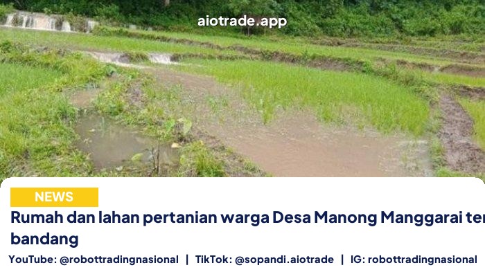 Rumah dan lahan pertanian warga Desa Manong Manggarai terendam banjir bandang
